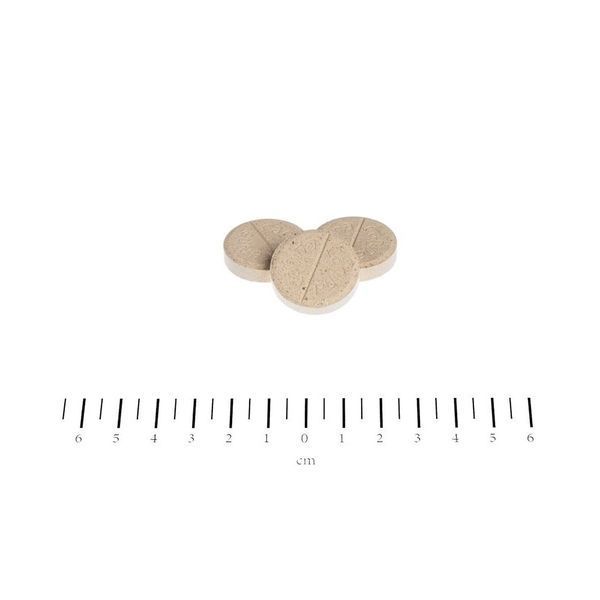 Вітамінний комплекс Canina Biotin Forte Tabletten для собак Біотин інтенсивний курс для шерсті 200 г 60 табл. 1111111957 фото