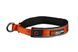 Ошейник для собак Cruise Non-stop dogwear Оранжевый 2XL 40424 фото 1