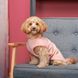 Борцівка Kale ТМ Pet Fashion для собак L рожева 1111197901 фото 4
