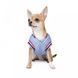 Бомбер Pet Fashion Spike для собак XS 1111171982 фото 3