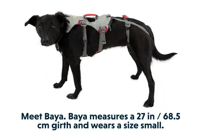 Шлейка для собак підвищеної міцності Ruffwear Doubleback&trade; XS 43-56 см Сірий 30737 фото