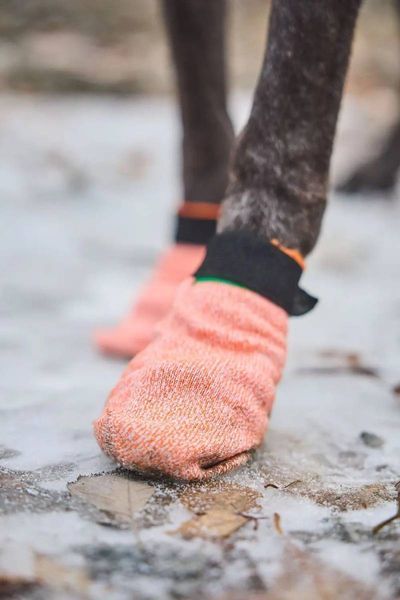 Носки для собак Protector light socks Non-stop dogwear Оранжевый S 4 Шт. 40333 фото