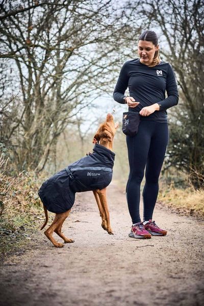 Сумка для лакомств и аксессуаров собак Treat bag Non-stop dogwear Черный 40555 фото