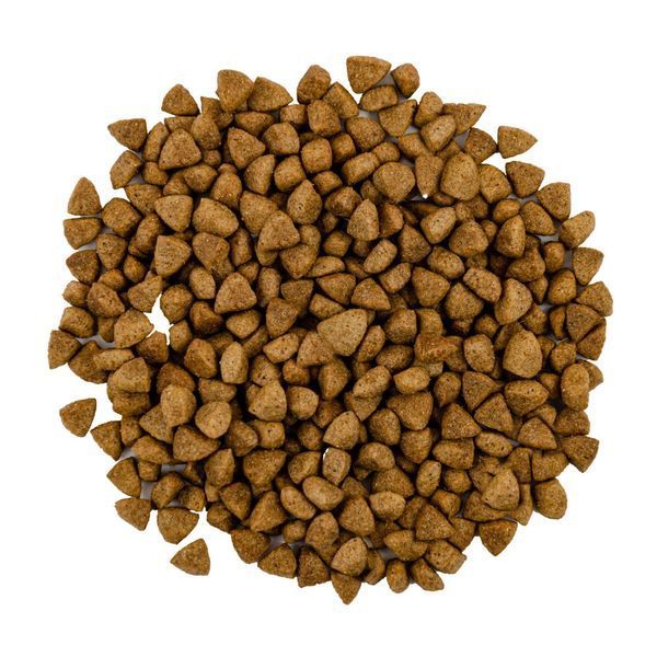 Корм сухий Savory Adult Cat Steril Fresh Lamb and Chicken для стерилізованих котів зі свіжим ягням і куркою 8 кг 1111163005 фото