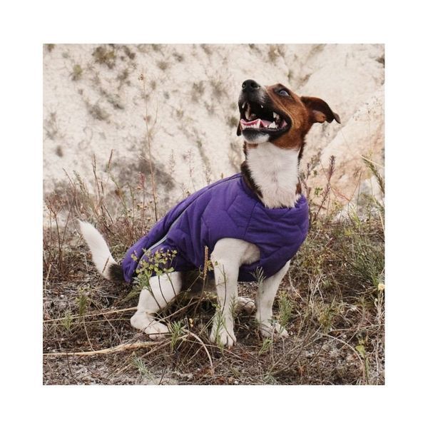 Жилет Pet Fashion E.Vest для собак фіолетовий XS-2 1111166457 фото