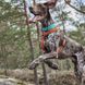 Анатомическая шлейка для собак Hurtta Casual Y-harness 70-80 Коричневый 31651 фото 12