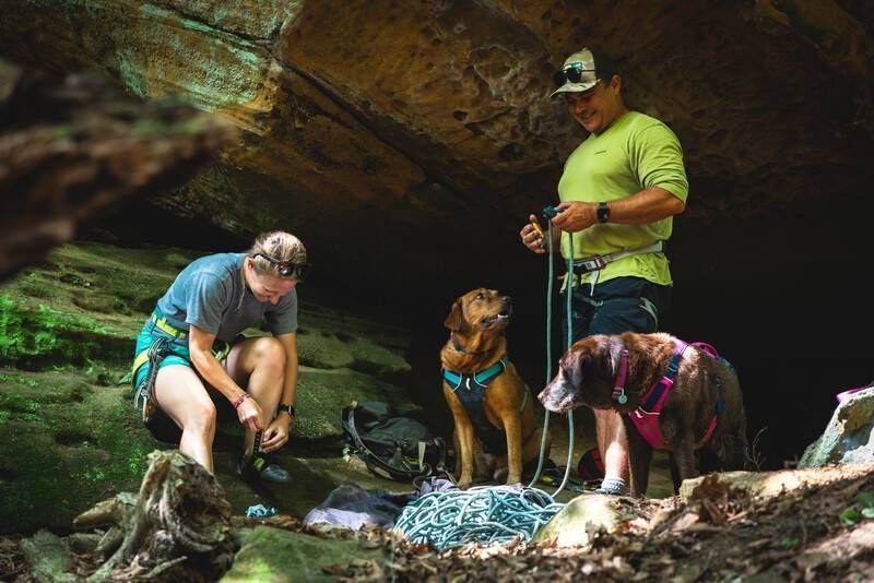 Легкая шлейка для собак Ruffwear Flagline&trade; XXS 33-43 см Серый 30746 фото