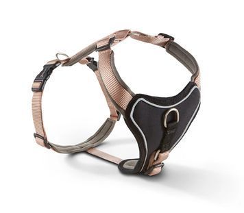 Шлейка для собак пом'якшена Wolters Professional Comfort 2А 45-50 см / 25 мм Шампань 32328 фото