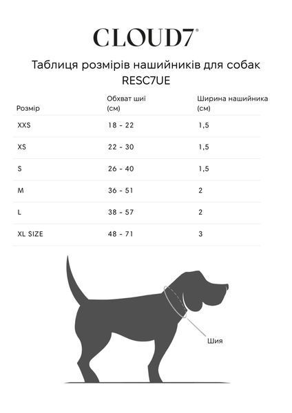 Повсякденний нашийник для собак Cloud7 Rescue Basic Сріблястий XL 46098 фото