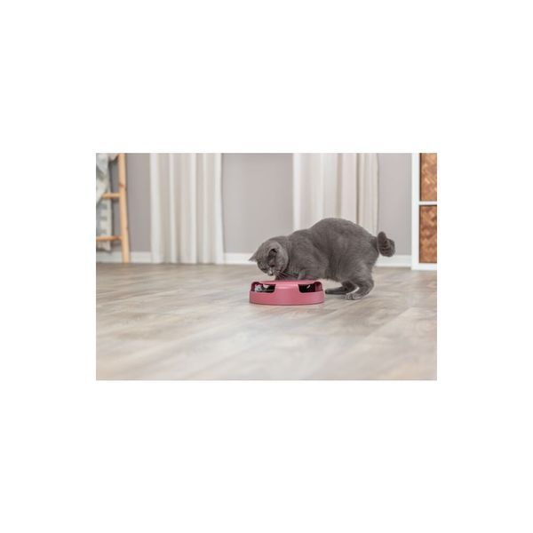 Іграшка Trixie Catch The Mouse для котів Трек ігровий з плюшевою мишкою пластик 25х6 см 1111116600 фото