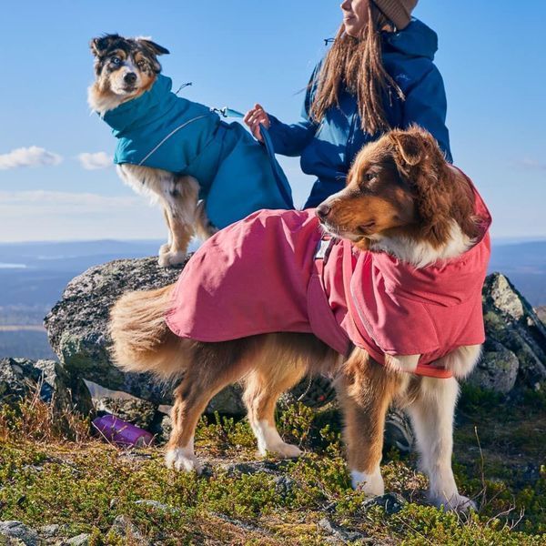 Куртка-парка для собак Hurtta Expedition Parka II Червоний 40 45273 фото