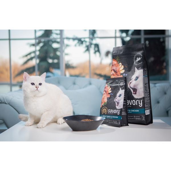Корм сухий Savory Kitten rich in Fresh Turkey and Chicken для кошенят всіх порід зі свіжою індичкою та куркою 400 г 1111163006 фото