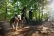 Облегченная шлейка для собак Ruffwear Hi & Light&trade; XXS 33-43 см Малиновый 30807 фото 10