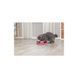 Іграшка Trixie Catch The Mouse для котів Трек ігровий з плюшевою мишкою пластик 25х6 см 1111116600 фото 3