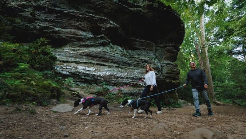 Облегченная шлейка для собак Ruffwear Hi & Light&trade; XXS 33-43 см Малиновый 30807 фото