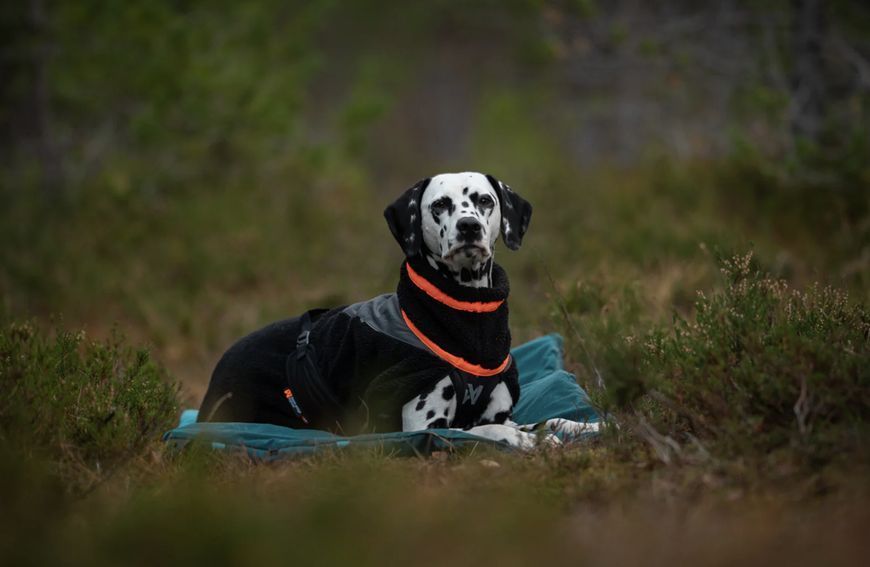 Флісова куртка для собак Trekking fleece jacket Non-stop dogwear Чорний 70 40833 фото