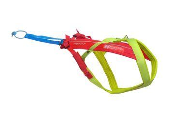 Шлейка для собак Freemotion harness 5.0 LTD Non-stop dogwear Жовтий/Рожевий/Блакитний 8 40689 фото
