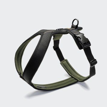 Y-подобная шлейка для собак Cloud7 Y-1 Harness AKTIV Черный S 46249 фото