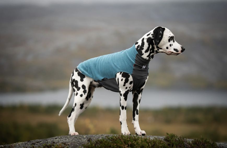 Флісовий пуловер для собак Non-stop dogwear Trail Quest Fleece Pullover Бірюзовий 65 41343 фото