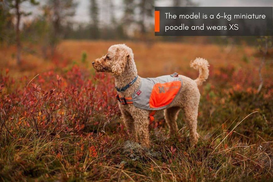 Світловідбивна попона Reflection blanket Non-stop dogwear Помаранчевий L 40862 фото