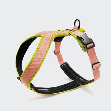Y-подобная шлейка для собак Cloud7 Y-1 Harness AKTIV Персиковый S 46250 фото