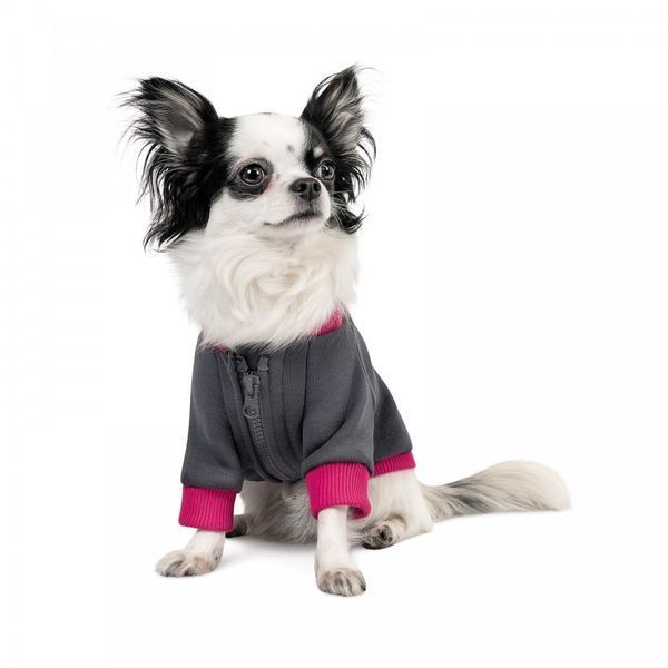 Толстовка Pet Fashion Bim для собак XS-2 1111172180 фото