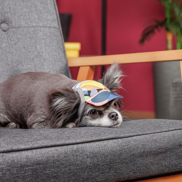 Кепка Tony ТМ Pet Fashion для собак ХL 1111197916 фото
