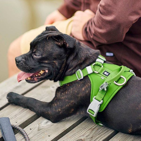 Шлейка пом'якшена для собак Hurtta Weekend Warrior Harness II ECO Зелений 65-80 42108 фото