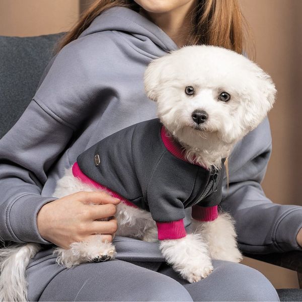 Толстовка Pet Fashion Bim для собак XS-2 1111172180 фото
