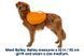 Шлейка-рюкзак для собак Ruffwear Approach&trade; M Помаранчевий 30975 фото 15