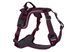 Шлея для собак Ramble harness Non-stop dogwear Фиолетовый M 40572 фото 1