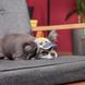 Кепка Tony ТМ Pet Fashion для собак ХL 1111197916 фото 3