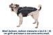 Куртка для собак Ruffwear Overcoat Fuse&trade; XS Серый 30426 фото 15