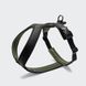 Y-подобная шлейка для собак Cloud7 Y-1 Harness AKTIV Черный XL 46251 фото 1