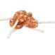 Ласощі Trixie Chicken Cheese Lolly bulk для собак Сирний льодяник з куркою брутто 10 см 20 г 1111184095 фото 1