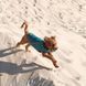 Жилет Pet Fashion E.Vest для собак морська хвиля М2 1111166461 фото 4