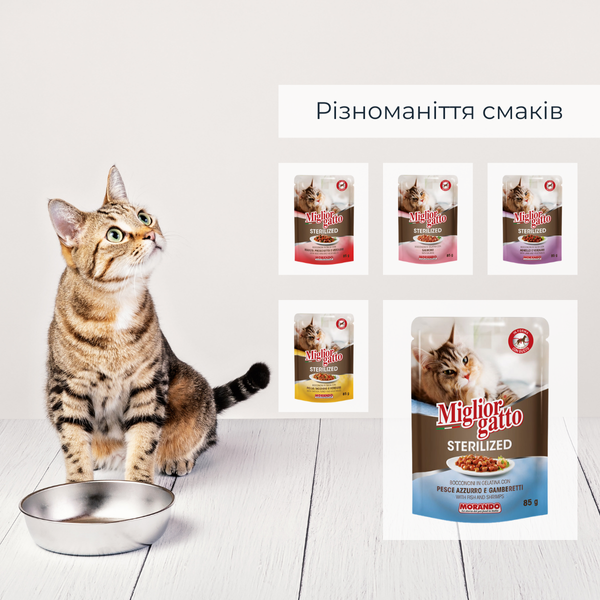 Беззернові консерви для стерилізованих котів Morando Migliorgatto Sterilized риба та креветки шматочки в желе 85 g 01470 фото