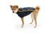 Флісова куртка для собак Ruffwear Climate Changer&trade; XXS Синьо-фіолетовий 30371 фото 14