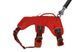 Поддерживающая шлейка для служебных собак Ruffwear Web Master&trade; XS 43-56 см Красный 30873 фото 13