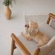 Панама Pet Fashion Print для собак М 1111225465 фото 3