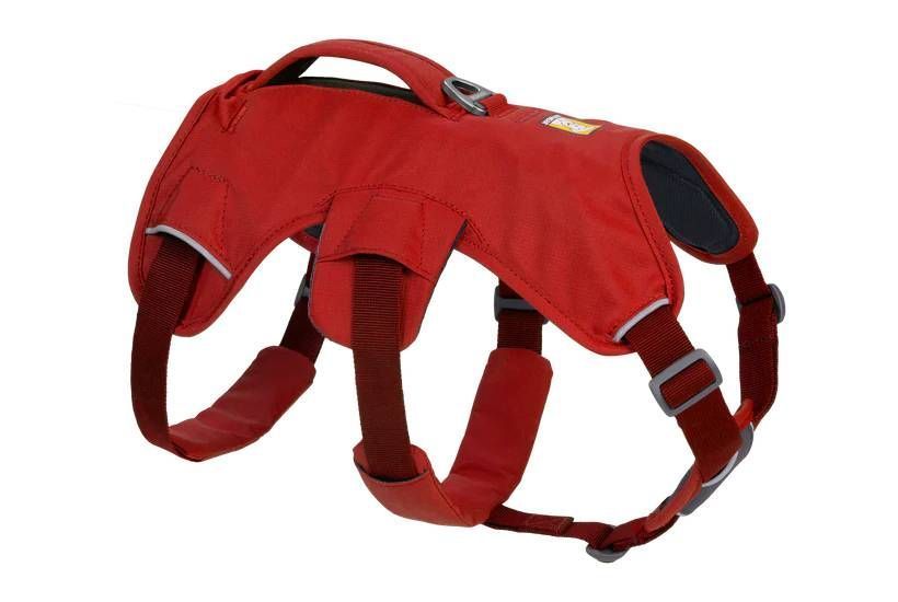 Поддерживающая шлейка для служебных собак Ruffwear Web Master&trade; XS 43-56 см Красный 30873 фото