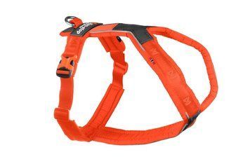 Шлейка для собак Line harness 5.0 Non-stop dogwear Помаранчевий 2 40625 фото
