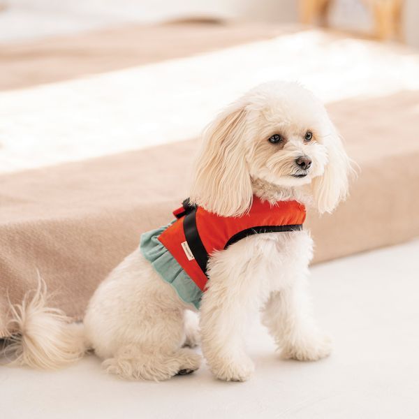Шлея Monika ТМ Pet Fashion для собак S 1111197866 фото