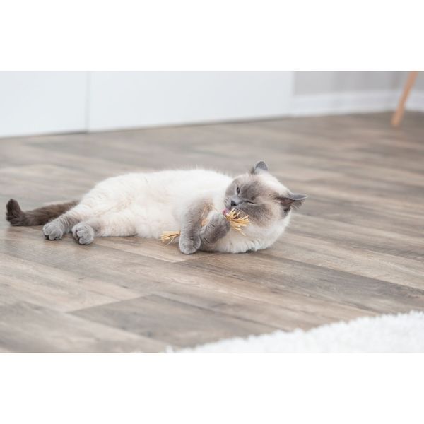 Іграшка Trixie для котів Палиця з мататабі з китицями 24 см 1111183769 фото