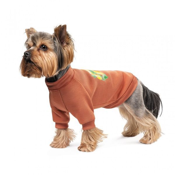 Толстовка Pet Fashion Miley коричнева XS 1111179004 фото