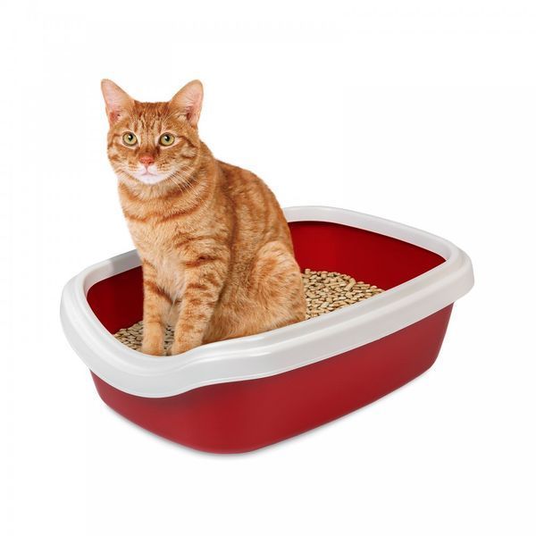 Туалет Природа Comfort M для котів бордо 41х30х13,5 см 1111160626 фото