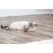 Іграшка Trixie для котів Палиця з мататабі з китицями 24 см 1111183769 фото 3