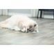 Іграшка Trixie для котів Ведмідь тканина з котячою м ятою 12 см 1111185453 фото 7