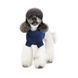 Светр Sam Pet Fashion для собак, розмір ХS синій 1111201033 фото 3