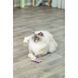 Іграшка Trixie для котів Ведмідь тканина з котячою м ятою 12 см 1111185453 фото 8